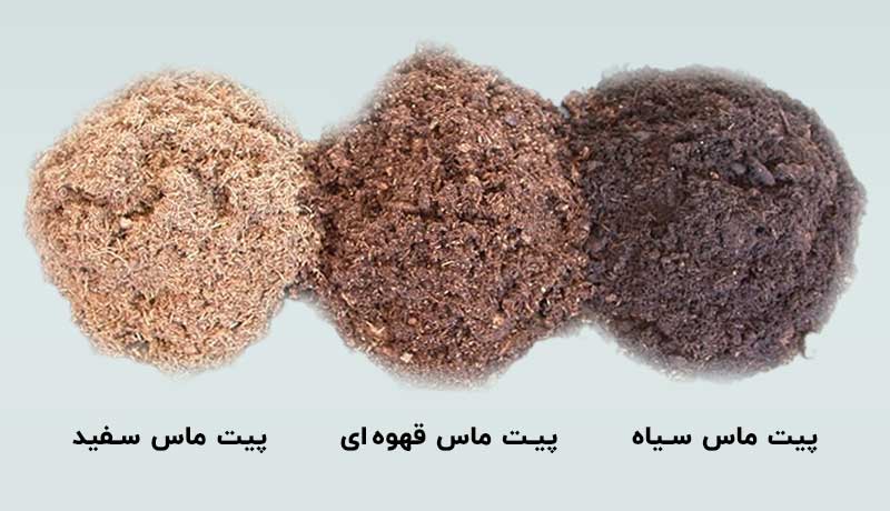 پیت ماس