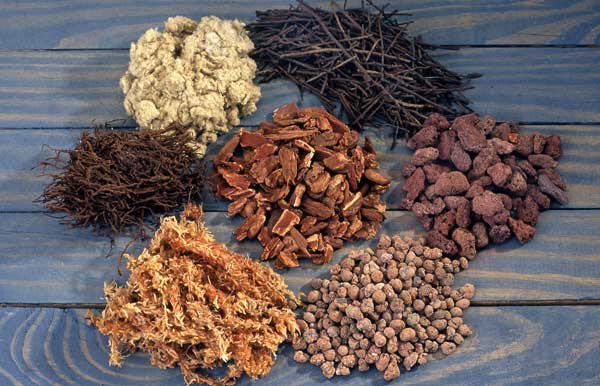 خاک ارکیده