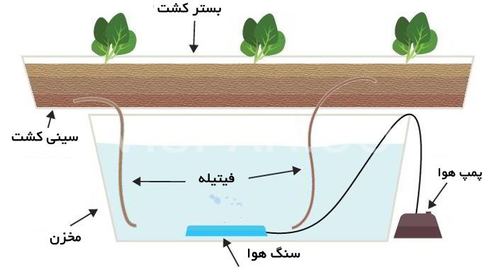هیدروپونیک