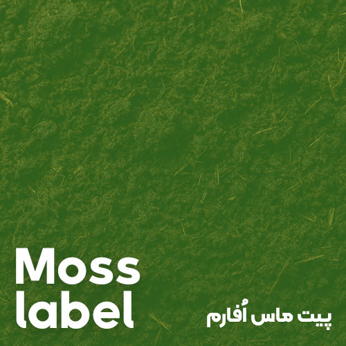 پیت ماس